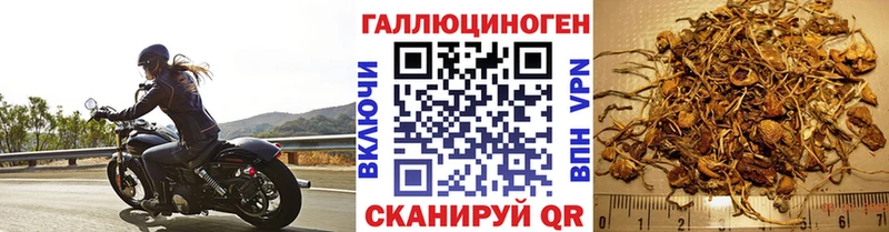 Купить  Верещагино  Галлюциногенные грибы ЛСД 
